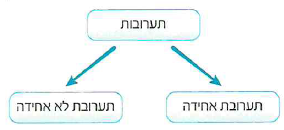 (בספר תרשים) 